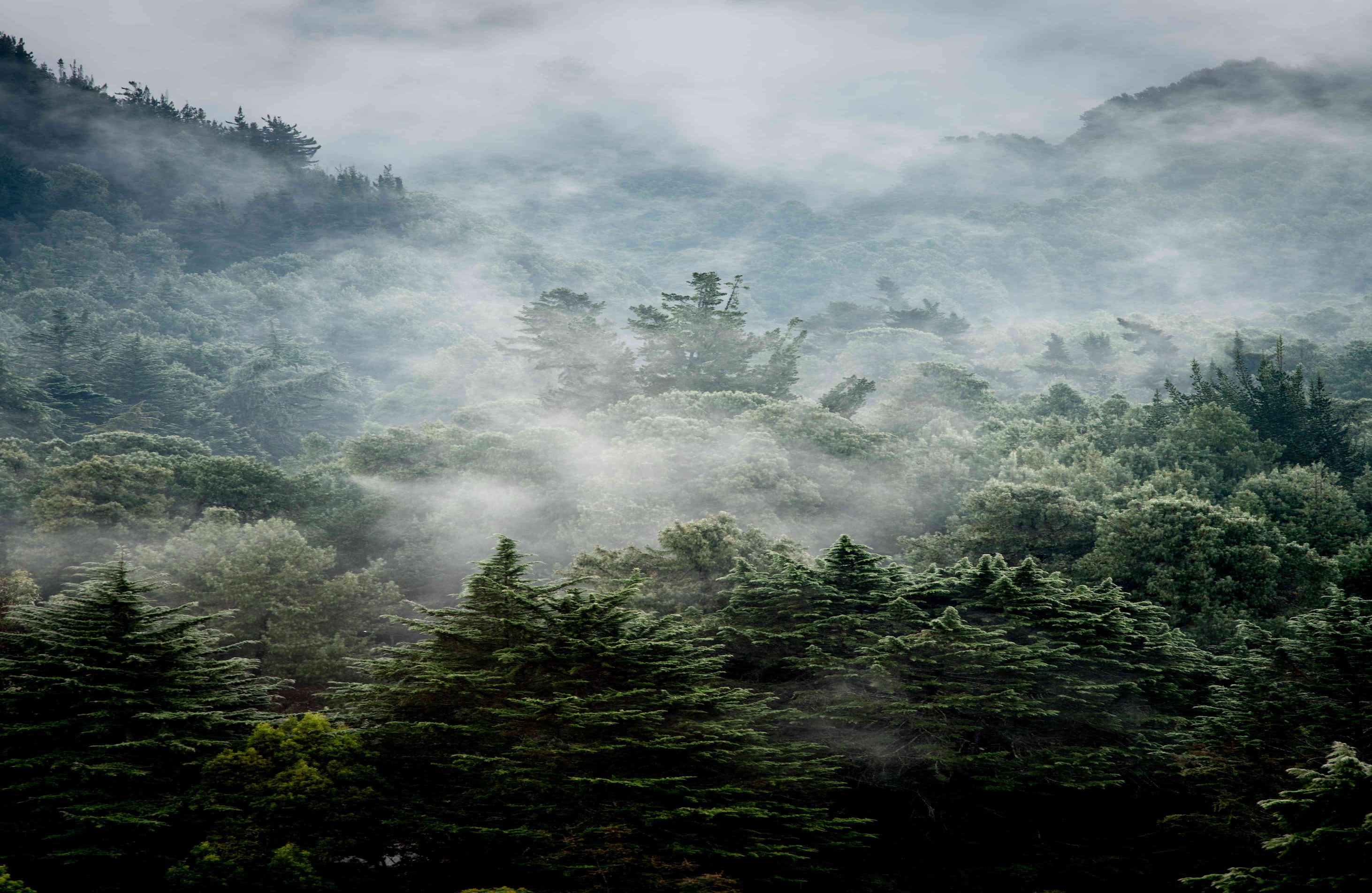 El espectacular homenaje en fotos del embajador de Alemania a Bogotá en su cumpleaños