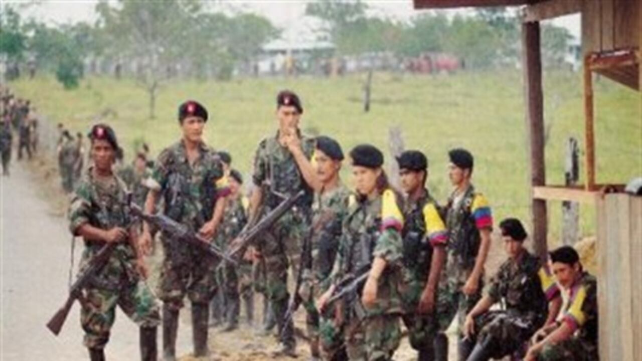 Militantes de las Fuerzas Armadas Revolucionarias de Colombia, Farc.