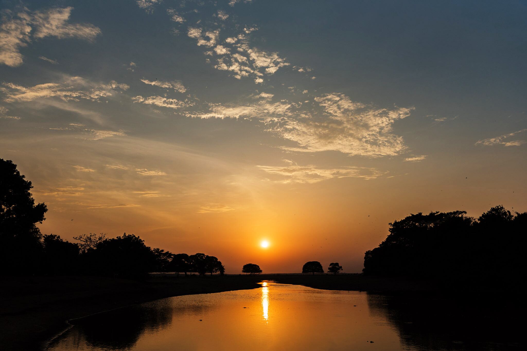 Editorial Bioeconomía y turismo, Otra forma de viajar, Semana Sostenible