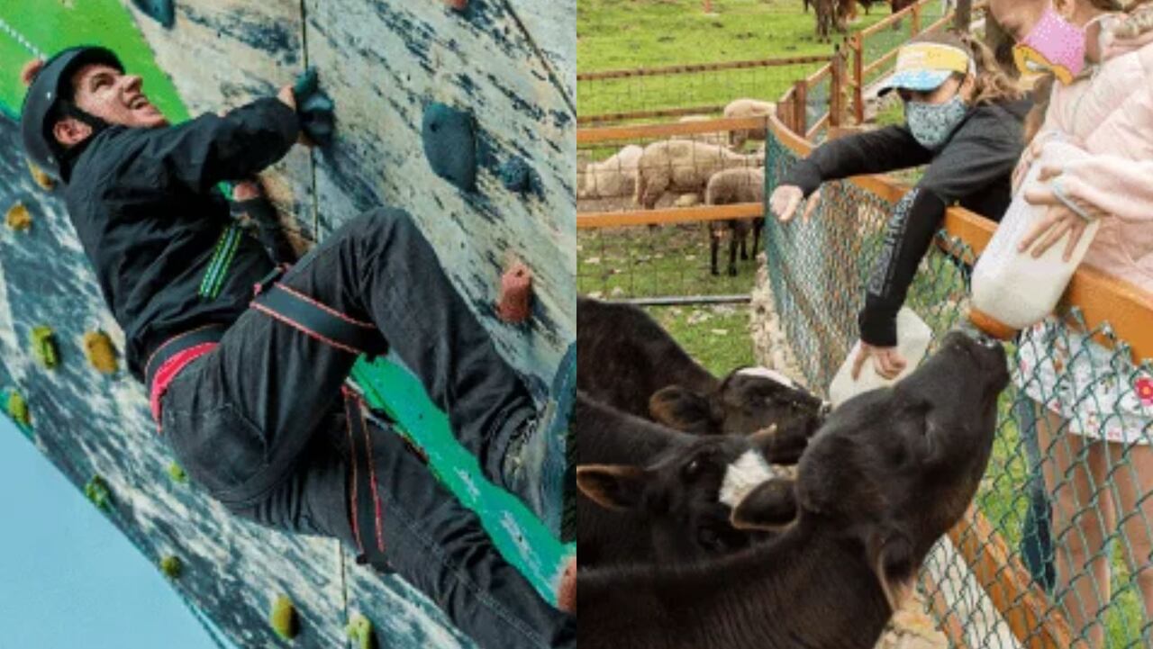 El pueblo de Boyacá, conocido como 'la capital de la feijoa': ¿cómo llegar y qué hacer en este lugar?