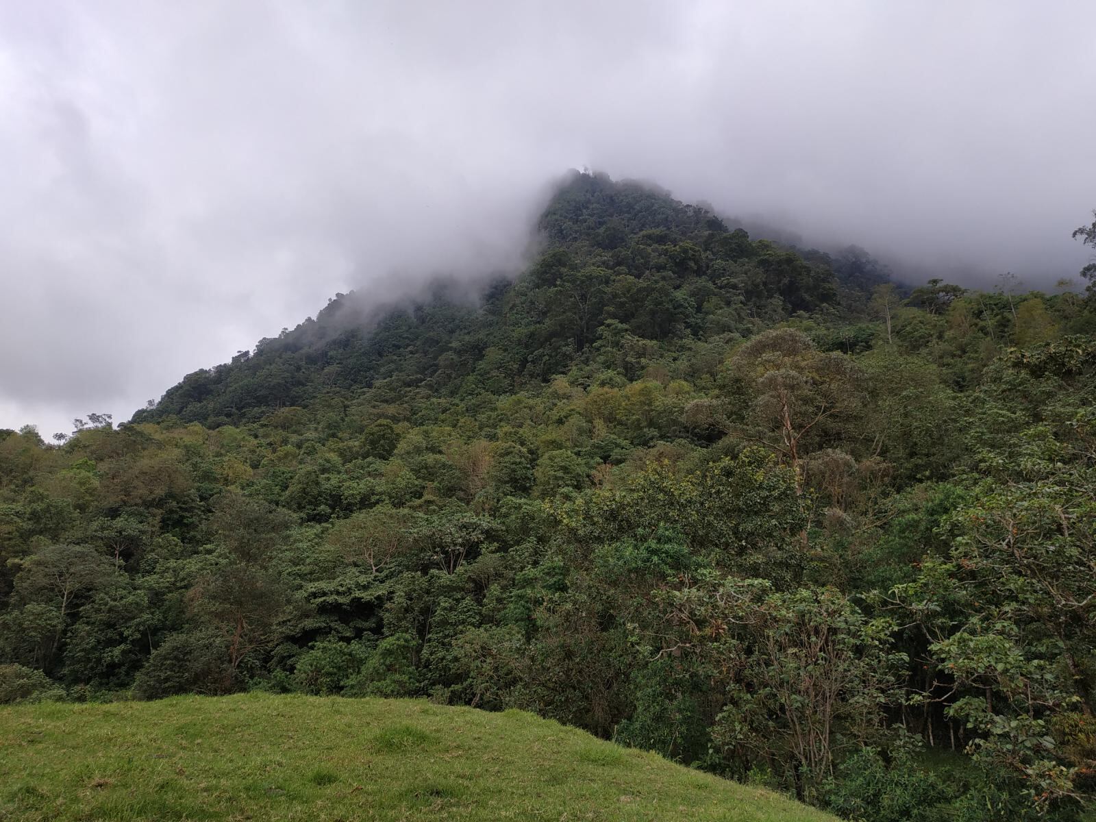 Procuraduría lanzó advertencia por riesgos en el programa ‘Caminos comunitarios para la paz total’
