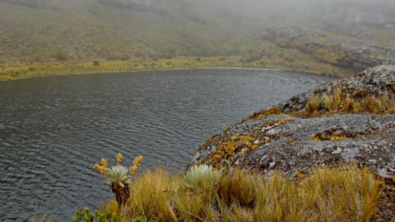 Este ecosistema es uno de los más ricos en fuentes hídricas y naturaleza en Boyacá.