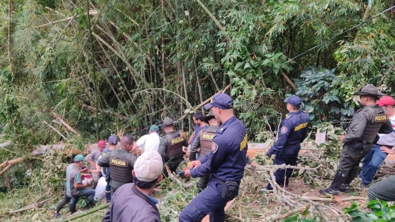 A un hombre le cayó encima el árbol que talaba y falleció.