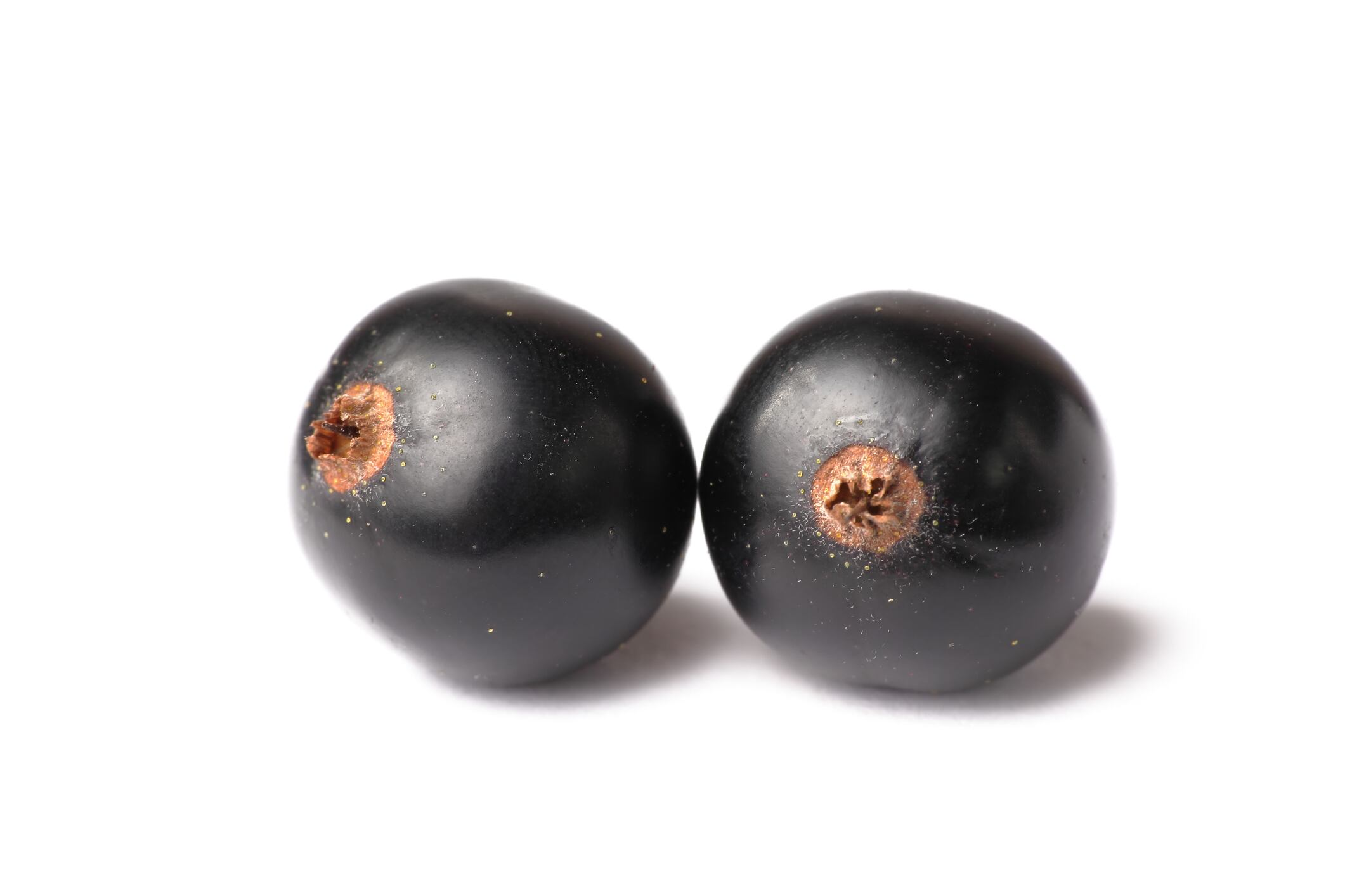 Black Currant Isolated On White