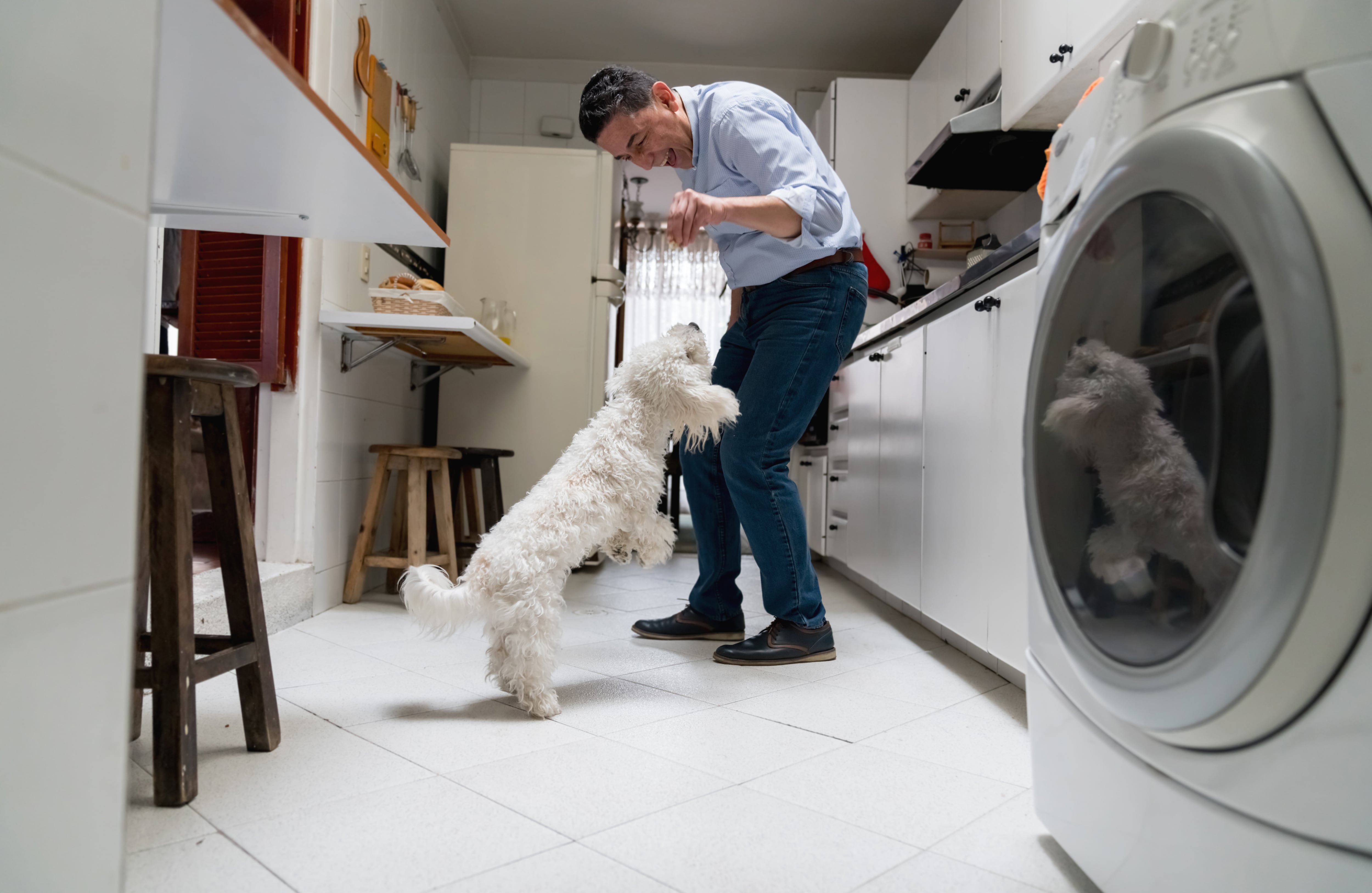 Un estudio publicado a finales de 2020 por Journal of Veterinary Behaviour sugiere que los animales de compañía suponen un beneficio para la salud mental, emocional y física de las personas durante el confinamiento.