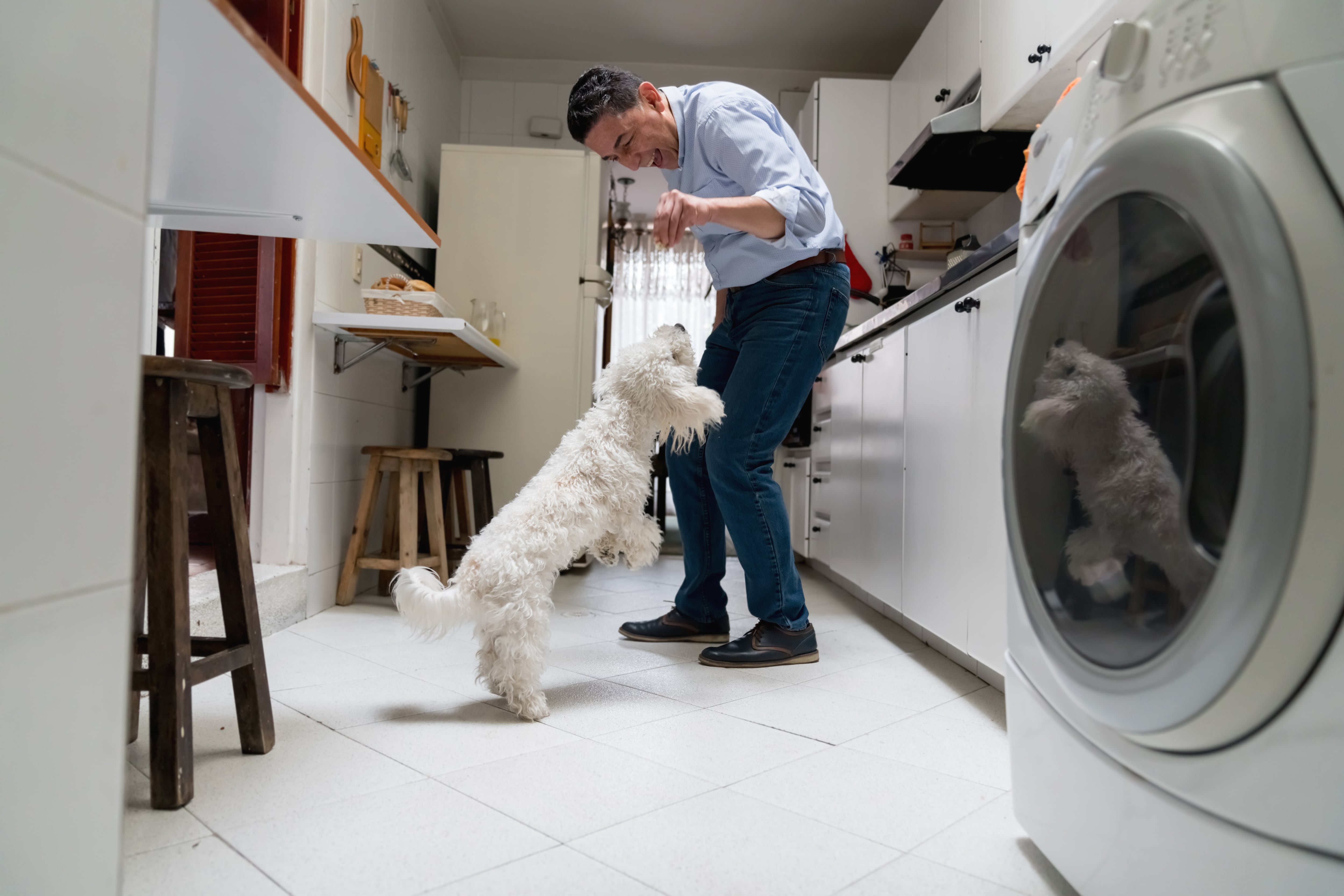 Un estudio publicado a finales de 2020 por Journal of Veterinary Behaviour sugiere que los animales de compañía suponen un beneficio para la salud mental, emocional y física de las personas durante el confinamiento.