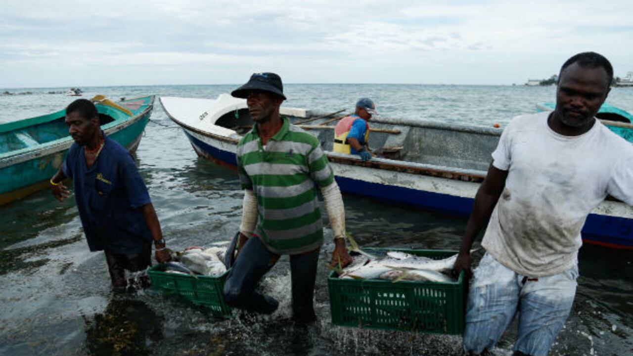 Los pescadores han visto reducido su producido.