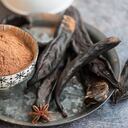 Los garroferos son árboles originarios de las regiones mediterráneas y producen la algarroba, fruto caracteristico de la región.