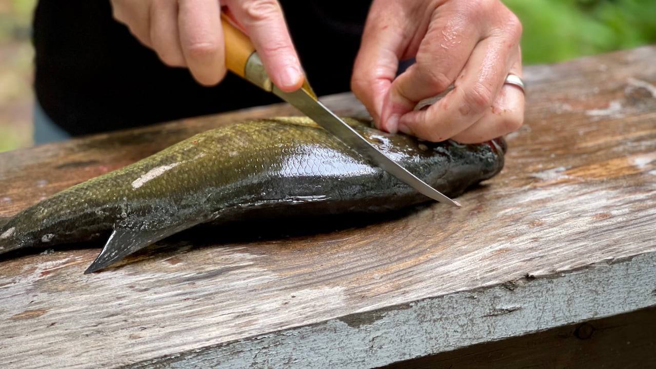 El plato fue preparado por error con pesticida.