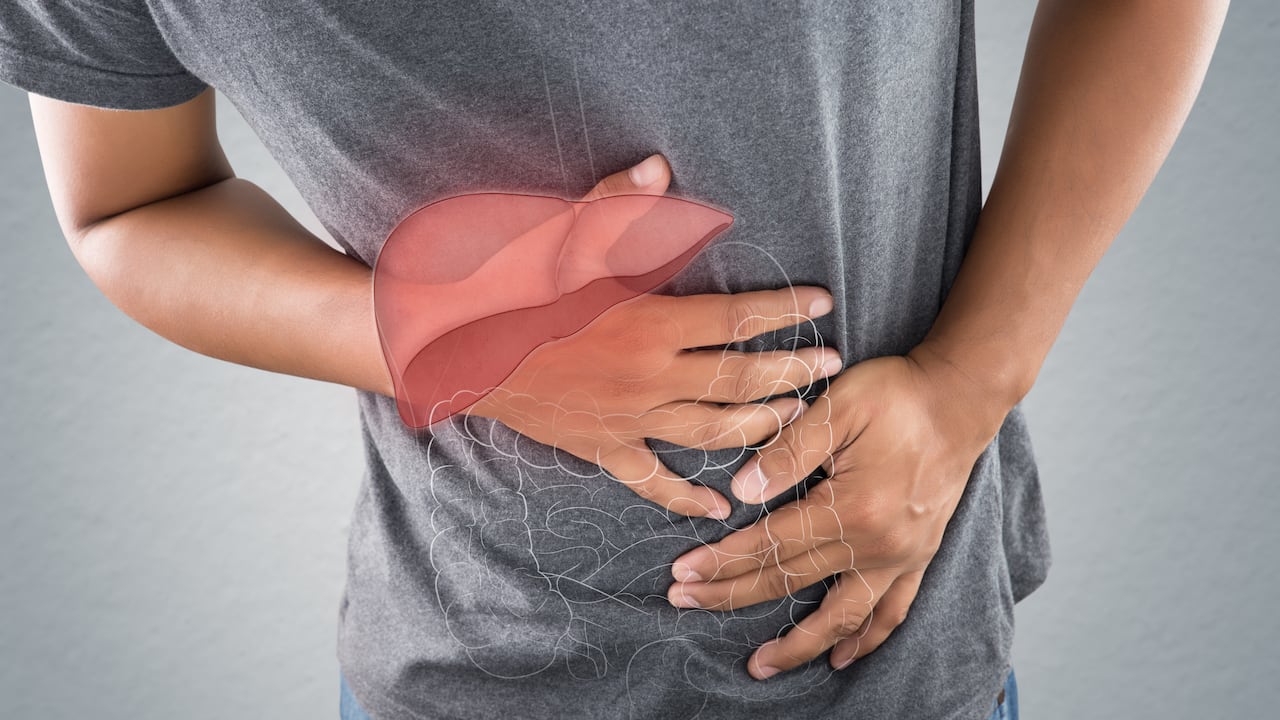 Foto referencia sobre hígado