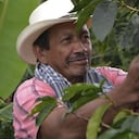 Los cafés de origen representan el sabor de una finca o de una región, según la Federación Nacional de Cafeteros.