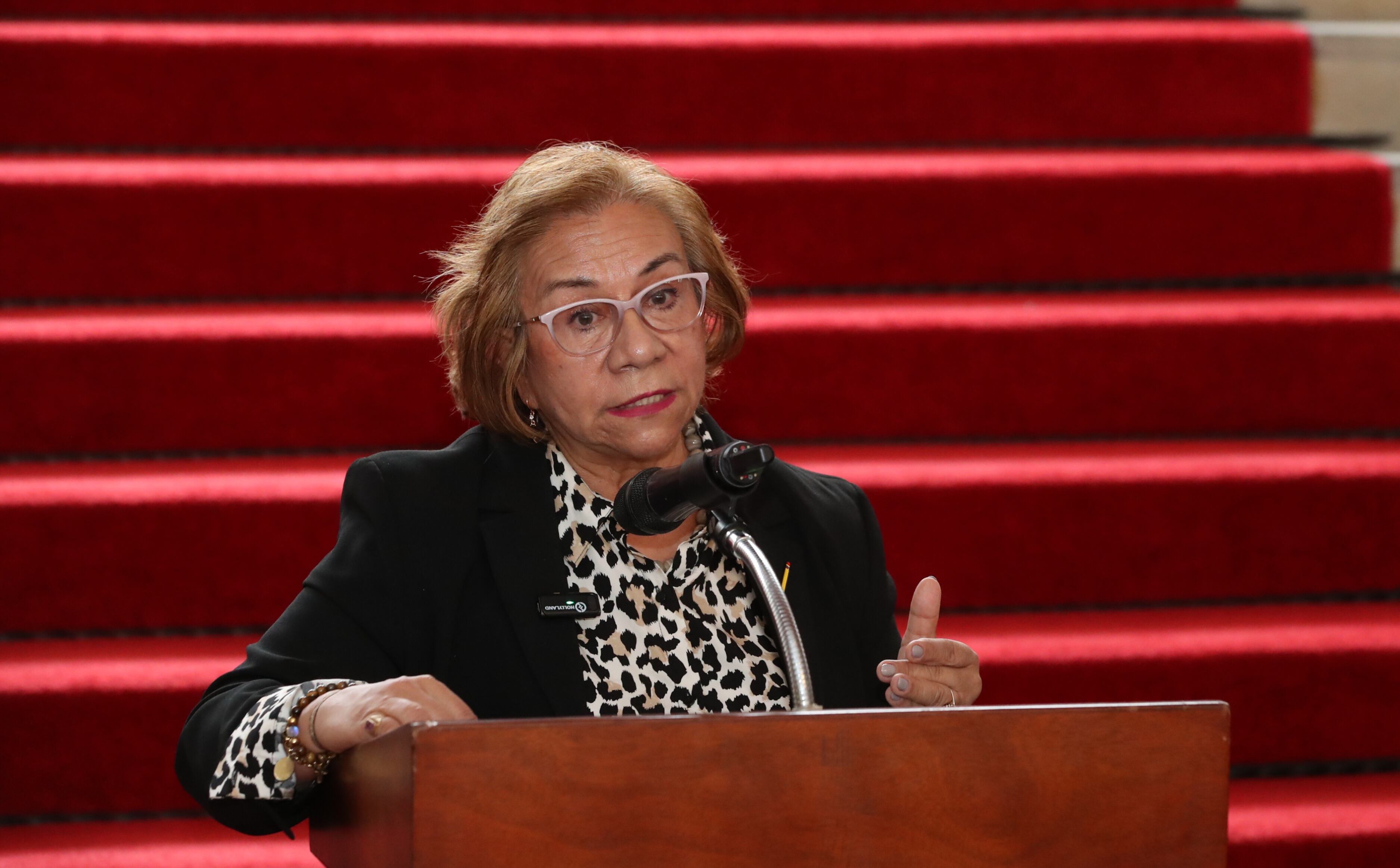 canciller de Colombia  Rosa Yolanda Villavicencio