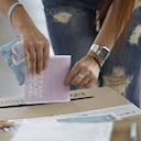 El proyecto busca una modernización del proceso electoral.