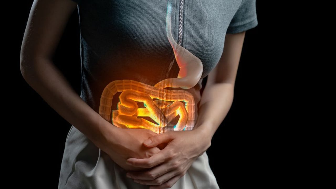 Por este motivo debe consumir prebióticos.