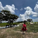 La ganadería es el sector agropecuario que más empleo genera en Colombia, con más de un millón de personas vinculadas en diferentes regiones del país.