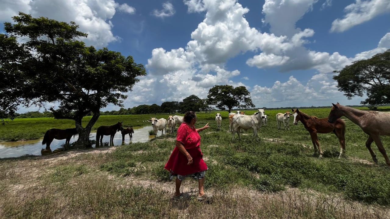 La ganadería es el sector agropecuario que más empleo genera en Colombia, con más de un millón de personas vinculadas en diferentes regiones del país.