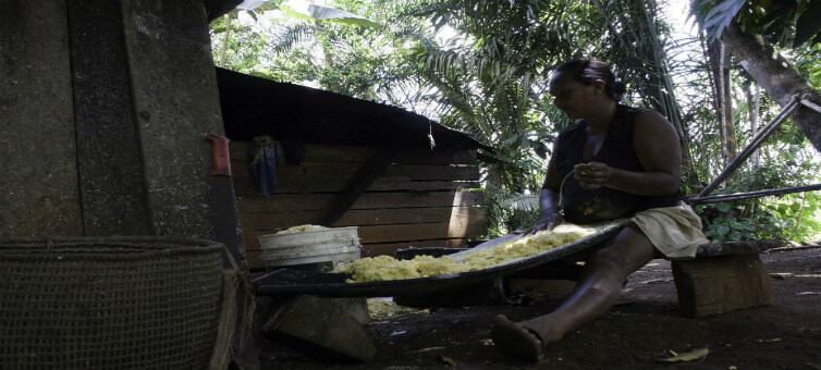 Preparación de fariña. Comunidad de Muritinga, Vaupés.