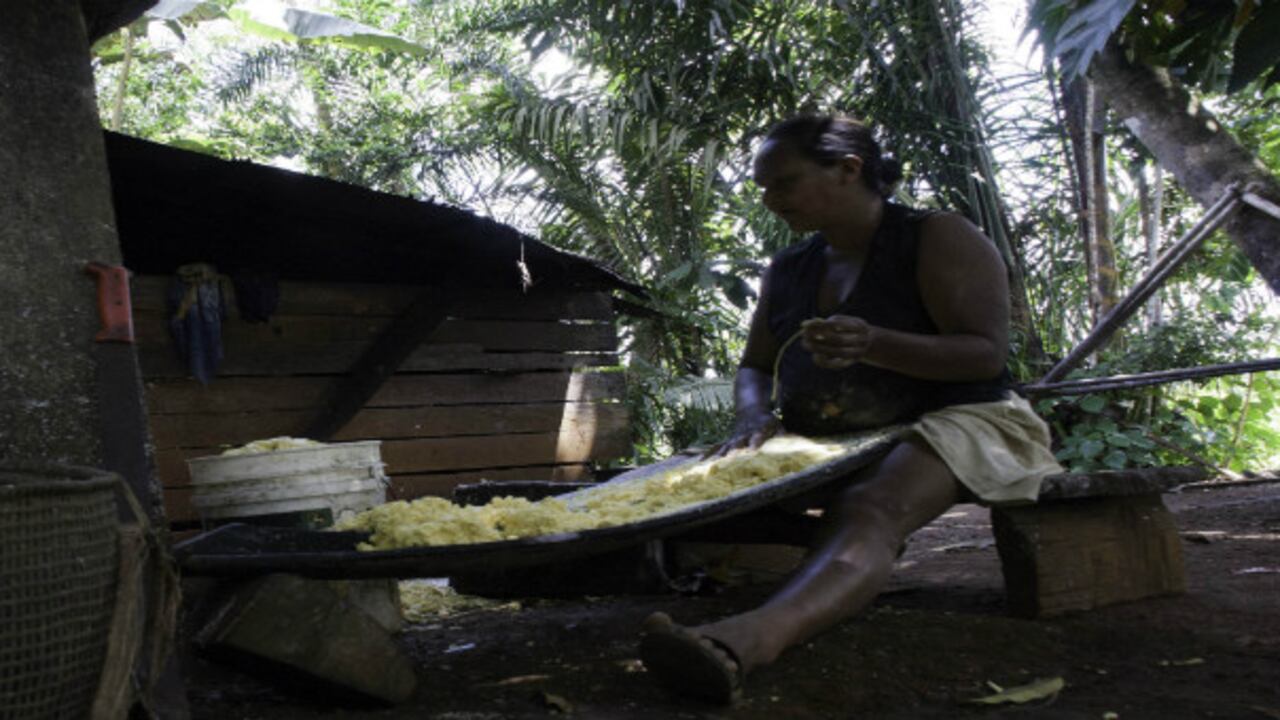 Preparación de fariña. Comunidad de Muritinga, Vaupés.