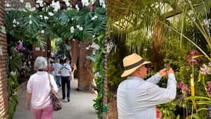 Este lugar alberga una fascinante colección de orquídeas de Colombia y del mundo.