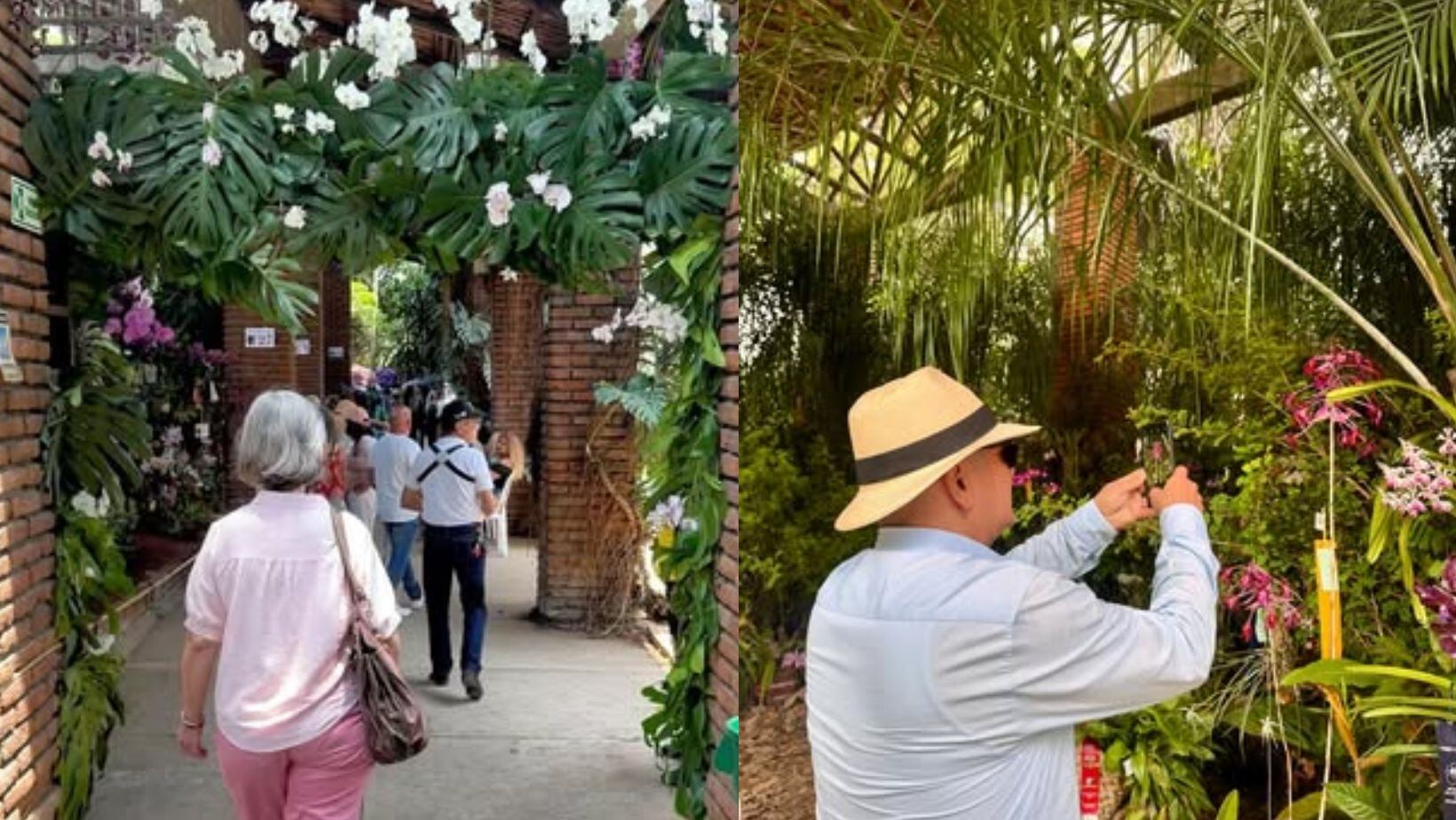 El Orquideorama, Cali