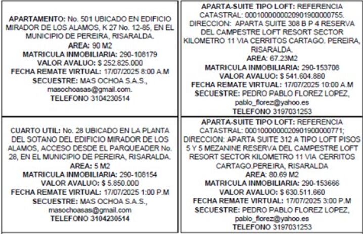 Entre los bienes a rematar están estos