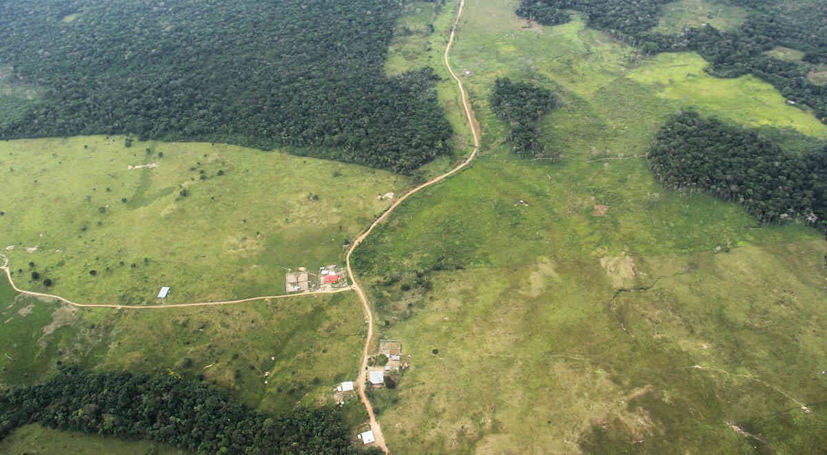 Se cree que la tasa anual de deforestación para el año 2018 llegará a las 280.000 hectáreas en Colombia. Foto: archivo /Semana