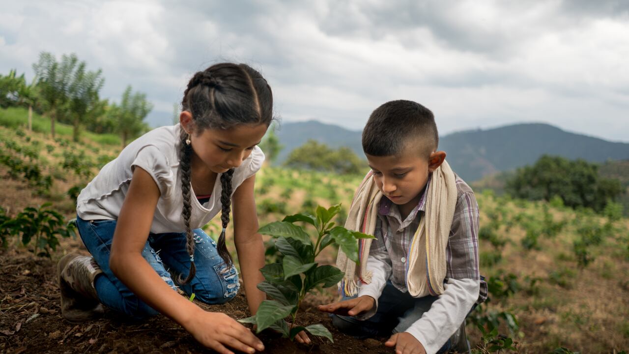 El ‘Bosque: memoria y vida’ de Sotaquirá será un espacio para que las familias de los fallecidos de covid-19 puedan recordar a sus seres queridos.