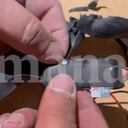 Micrófono encontrado en la sede de Federico Gutiérrez en Medellín.