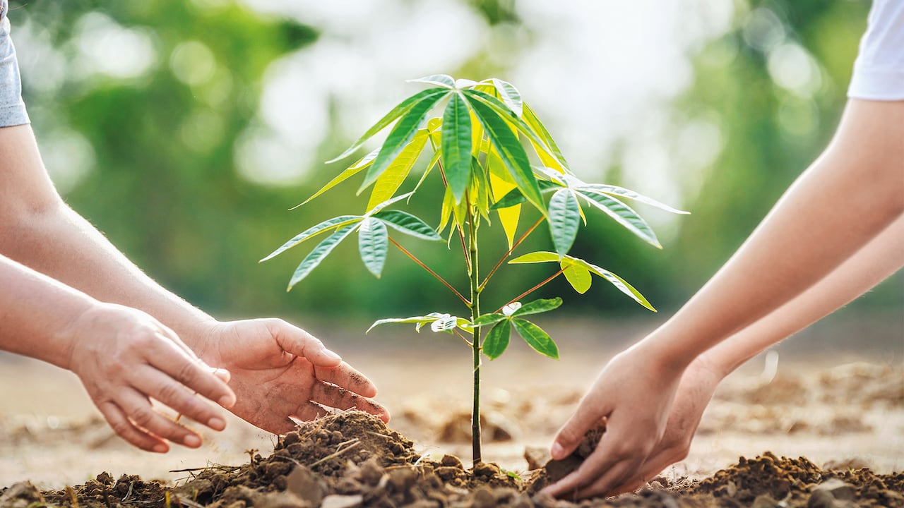 NO USAR, USO EXCLUSIVO MEJOR COLMBIA, Especial Minería, Minera Cobre