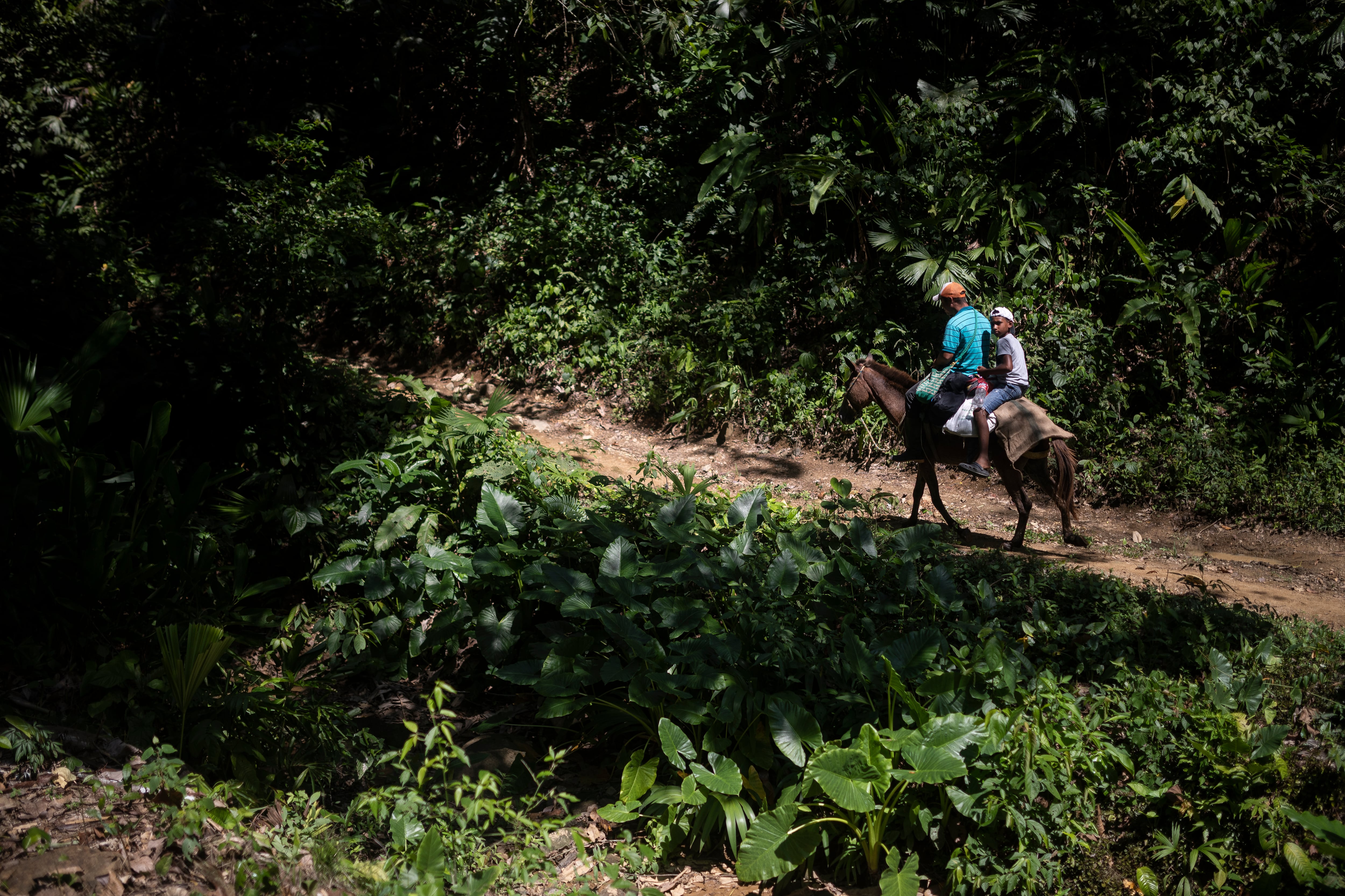 Montes de María - Carmen de Bolivar