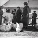 Los forenses de Medicina Legal tienen una labor fundamental.