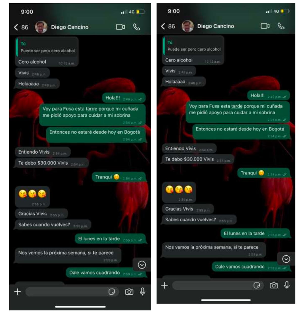 Chats de Diego Cancino con Viviana Vargas.