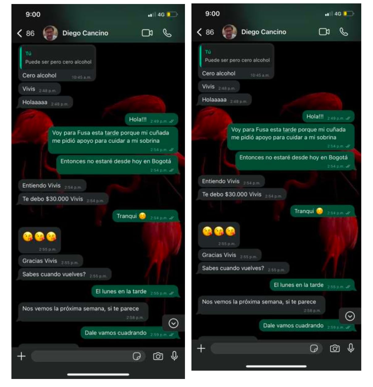 Chats de Diego Cancino con Viviana Vargas.