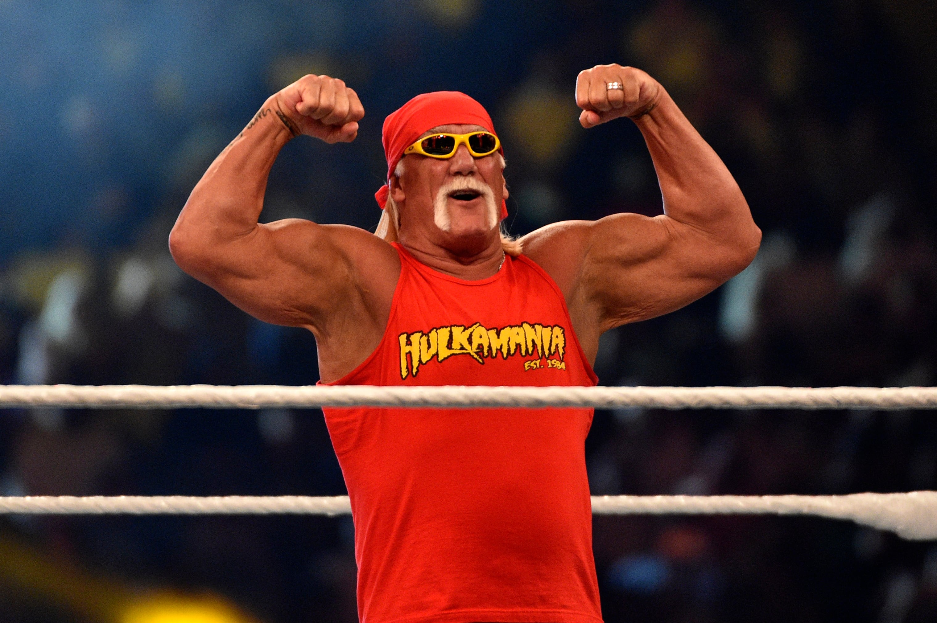 Hulk Hogan
