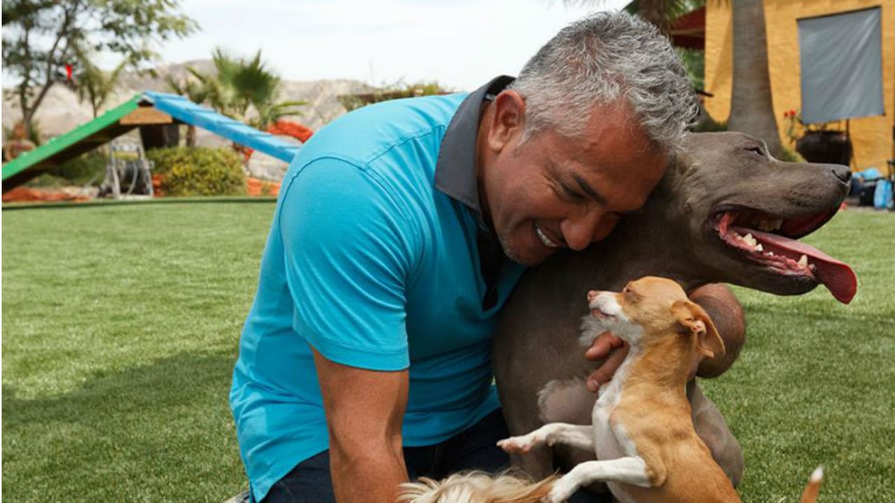 César Millán está cooperando con las autoridades y seguirá haciéndolo en cualquier investigación, según el comunicado.