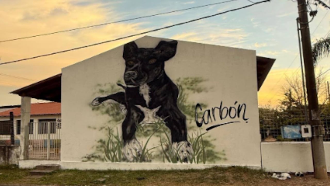 Carbón, el perrito que recibió un mural como homenaje.