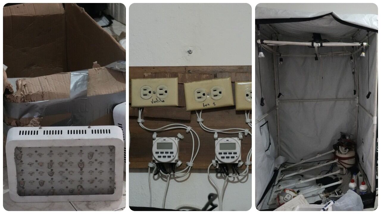 Las autoridades hallaron un cultivo hidropónico de marihuana en la localidad de Ciudad Bolívar.