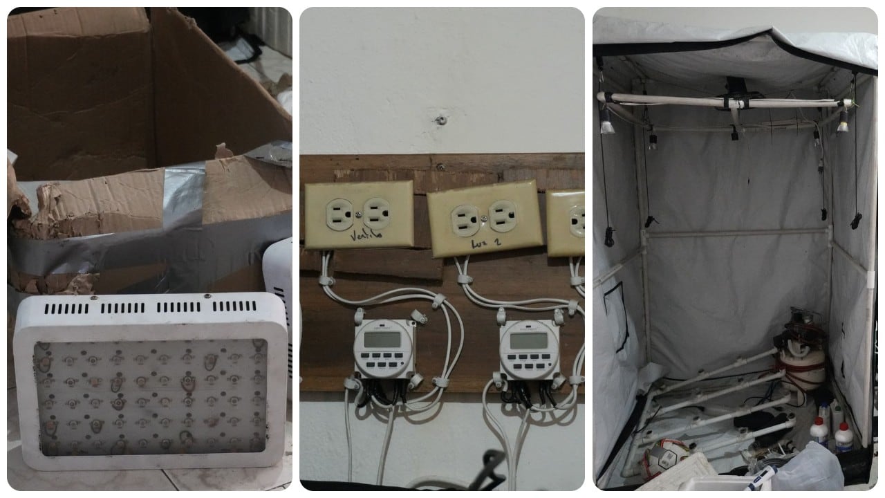 Las autoridades hallaron un cultivo hidropónico de marihuana en la localidad de Ciudad Bolívar.