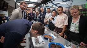 ‘Café del Futuro’ pretende convertir a cerca de 3.800 caficultores de Risaralda y Cauca en productores sostenibles y amigables con los recursos naturales.