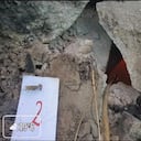 Flamas en Cerro Bravo