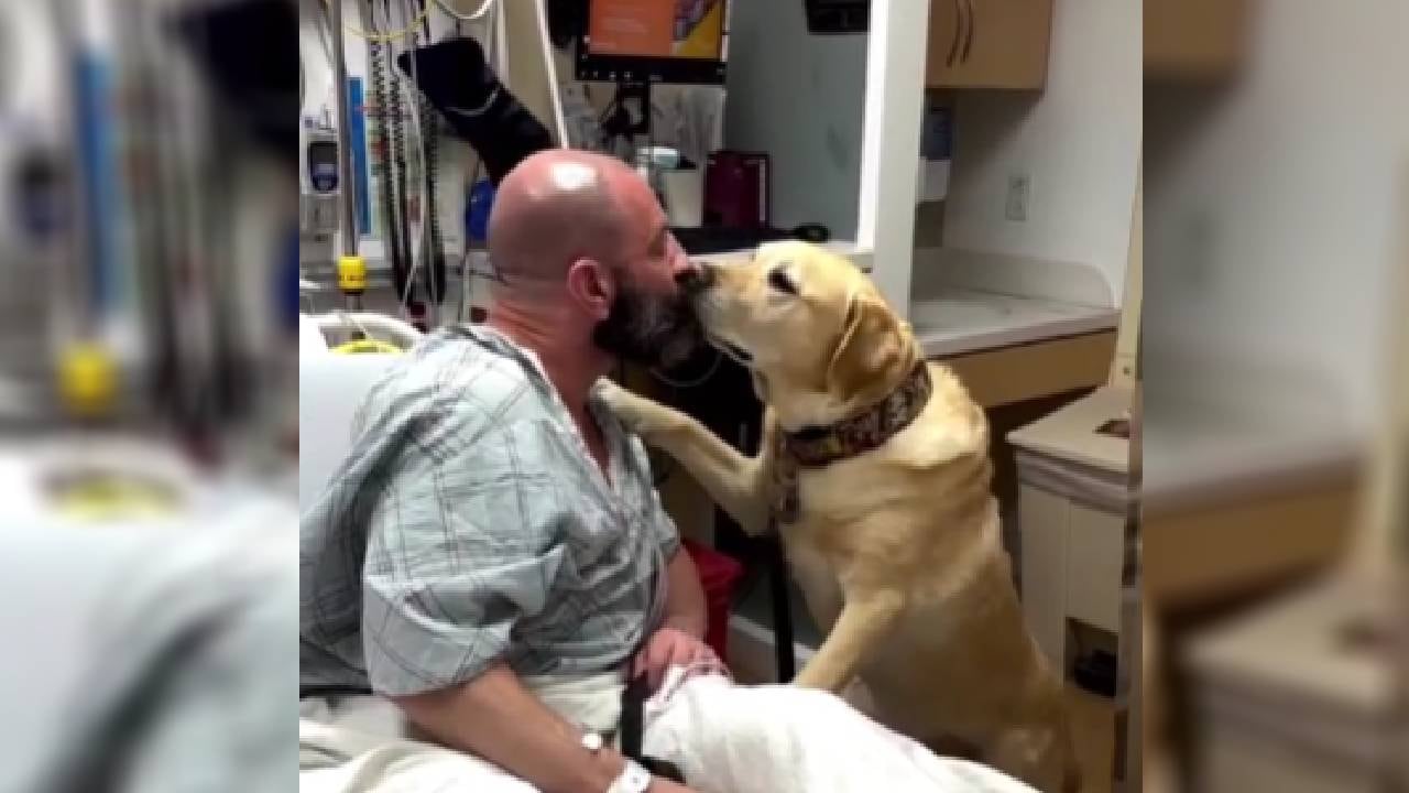 En Instagram la cuenta del canino supera el millón de seguidores.