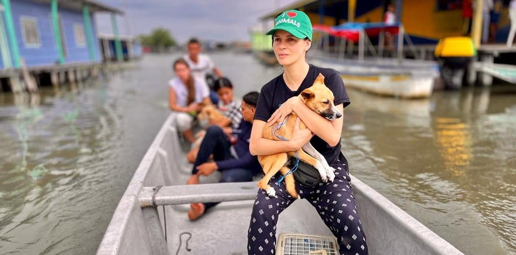 La senadora animalista, Andrea Padilla, quiere repetir su curul en el Senado. Es candidata de la Alianza Verde.