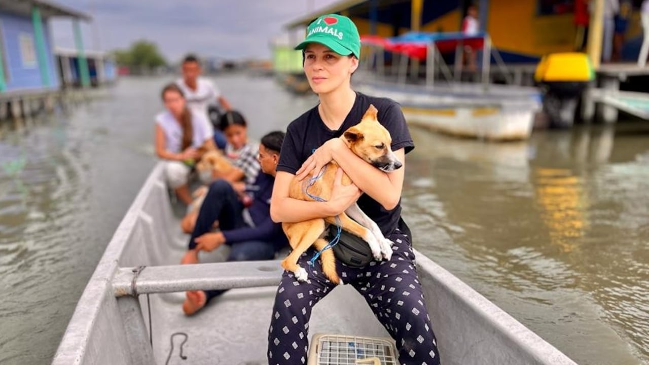 La senadora animalista, Andrea Padilla, quiere repetir su curul en el Senado. Es candidata de la Alianza Verde.