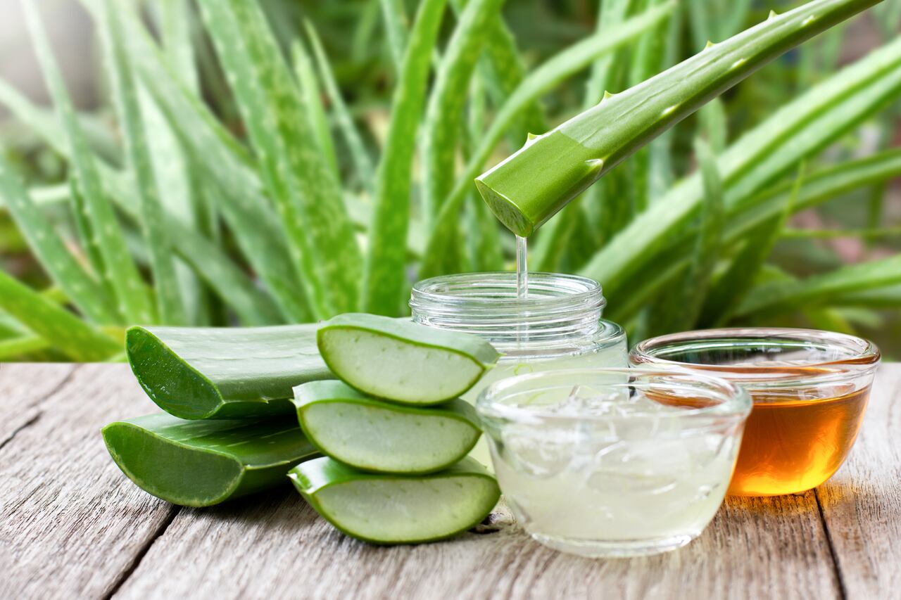 ¿Quiere decir adiós a la caída del cabello? Descubra cómo la miel y el aloe vera pueden ser la solución que está buscando.