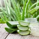 Aloe vera leaf with aloevera gel and honey on wooden table with green nature background.