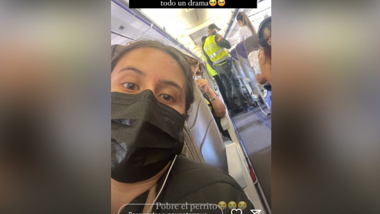 Mujer intentó esconder a su perro en una bolsa para no pagarle tiquete y la bajaron del avión