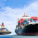 Buque de carga de contenedores en el océano con pájaros volando