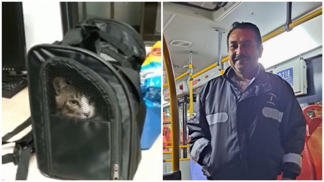 El conductor se convirtió en "un héroe de la ciudad".