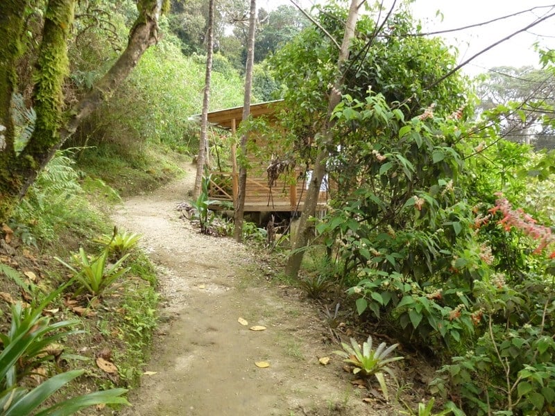 Reserva ProAves El Dorado