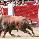 Si el proyecto supera los cuatro debates, la prohibición empezaría a regir desde 2027. La campaña electoral será determinante para esta iniciativa.